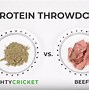 Image result for Cricket Protein FZ