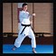 Image result for Bushido Martial Arts Supplies Irvine CA