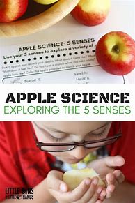 Image result for Apple 5 Senses Door Ideas