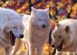 Image result for Funny Wolf Laughing