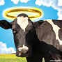 Image result for Sacred Cow Meme