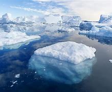 Image result for Where Are Icebergs Found