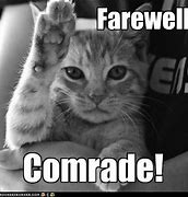 Image result for Fare Well Cat Meme