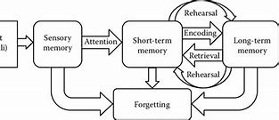 Image result for Memory Storage Model