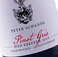 Image result for Peter Schandl Pinot Gris Kreften