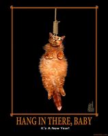 Image result for Hang in There Buddy Meme