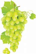 Image result for Green Grapes Transparent Background