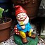 Image result for Ugly Gnome