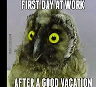 Image result for Work After Vacation Meme