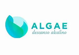 Image result for alge�icarse