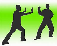 Image result for Sambo Martial Art