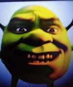 Image result for Shrigga Shrek Memes