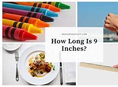 Image result for 7 Inches Daily Things