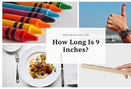 Image result for How Tabig Is 9 Inches