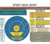 Image result for Spirit Soul and Body Week 1