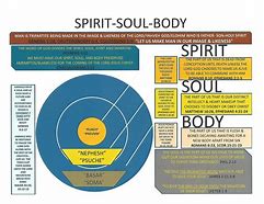 Image result for What Is Soul and Spirit