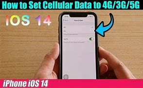 Image result for Cellular Settings iPhone 14 Pro with Primary Number