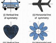 Image result for One Line of Symmetry