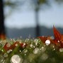 Image result for Fun with Bokeh
