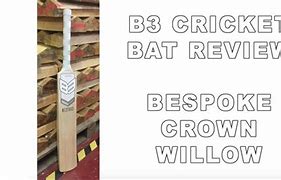 Image result for B3 Cricket Bats