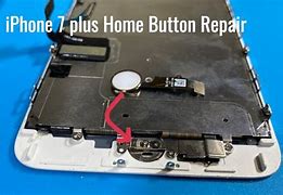 Image result for iPhone 7 Home Wire to Button