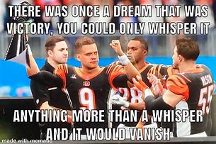 Image result for Bengals Memes