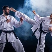Image result for Best Karate Fighting Styles