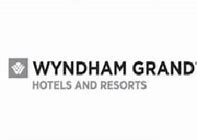 Image result for Wyndham Hotels Flag