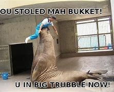 Image result for Drop in the Bucket Meme