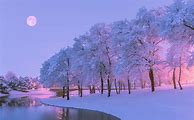 Image result for Pink Tree Aesthetic