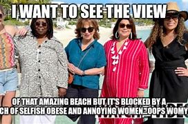 Image result for Anti the View Memes