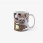 Image result for Crying Cat Meme Coffee
