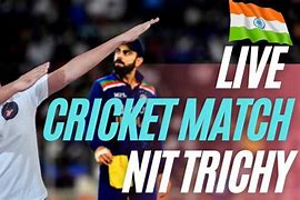 Image result for Nit Wit Cricket Head