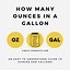 Image result for Gallon to Ml