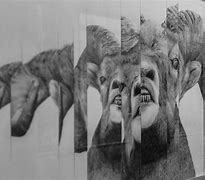 Image result for Distorted Animals