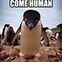 Image result for Emperor Penguin Memes