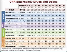 Image result for Veterinary Emergency Drug Chart