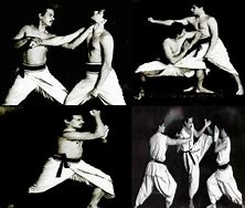 Image result for martial arts'