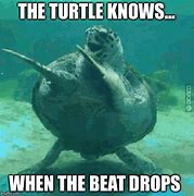 Image result for Dancing Turtle Meme