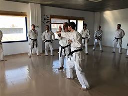 Image result for Shito Ryu Karate