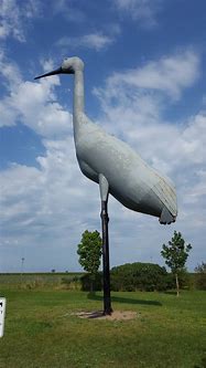 Image result for World's Largest Sandhill Crane