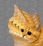 Image result for Shedding Cat Meme