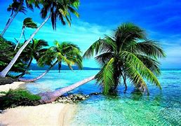 Image result for Cool Beach Screensavers