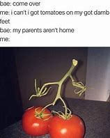 Image result for tomatoes memes