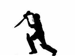 Image result for Cricket Metal Sign