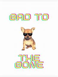 Image result for Bad to the Bone Smiling Dog Meme