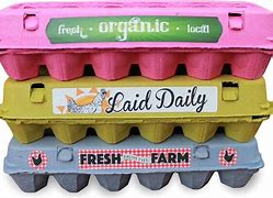 Image result for Camping Egg-Carton