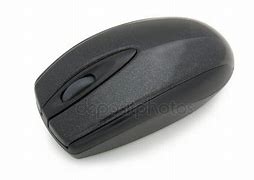 Image result for Computer Mouse Front View
