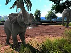 Image result for co_oznacza_zoo_tycoon