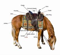 Image result for Western Horse Tack Diagram